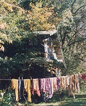 dyed yarns drying