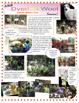 newsletter re: Dyes & Weaves