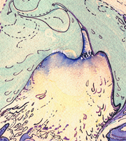 thumbnail marbling: falcon