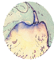 thumbnail marbling: falcon detail