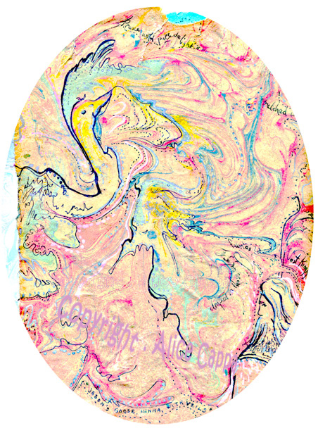marbling: goose