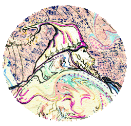 thumbnail marbling: Wilbro detail